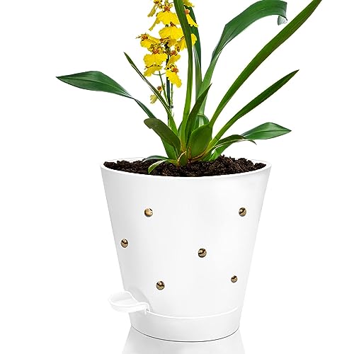 lehorra 1 Pcs Orchid Pot with Holes, 7 Inch Self Watering Plastic Orchid Pots for Repotting, Breathable Slotted Planter Pots for Orchid, Devil's Ivy Healthy Air Circulation & Drainage (White)