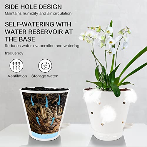 lehorra 1 Pcs Orchid Pot with Holes, 7 Inch Self Watering Plastic Orchid Pots for Repotting, Breathable Slotted Planter Pots for Orchid, Devil's Ivy Healthy Air Circulation & Drainage (White)