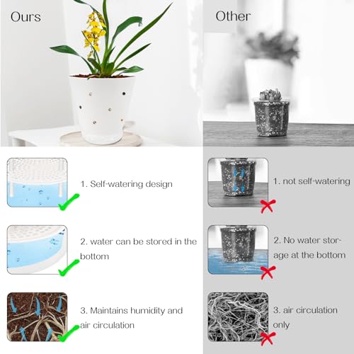 lehorra 1 Pcs Orchid Pot with Holes, 7 Inch Self Watering Plastic Orchid Pots for Repotting, Breathable Slotted Planter Pots for Orchid, Devil's Ivy Healthy Air Circulation & Drainage (White)