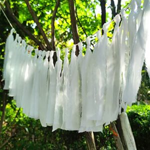 Mybbshower White Chiffon Tassel Garland for Wedding Bridal Shower Birthday Party Backdrop Hanging Decoration Fringe Backdrop Banner