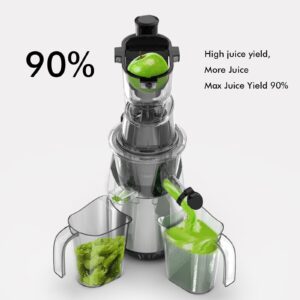 SiFENE Whole Fruit Cold Press Juicer Machine - Vertical Slow Masticating Juicer with Large 3.3in Feed Chute - Easy to Clean, Ideal for Whole Fruits & Vegetables, Gray