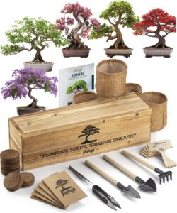 avergo bonsai tree kit – 5x unique japanese bonzai trees | complete indoor bonsai starter kit for growing bonsai plants with tools & planters – gardening gifts for women & men