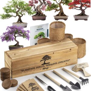 AVERGO Bonsai Tree Kit – 5X Unique Japanese Bonzai Trees | Complete Indoor Bonsai Starter Kit for Growing Bonsai Plants with Tools & Planters – Gardening Gifts for Women & Men