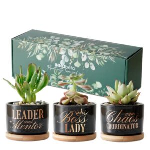 innobeta 3pcs mini 3.3" plant pots with bamboo tray, best boss gifts, stylish and functional