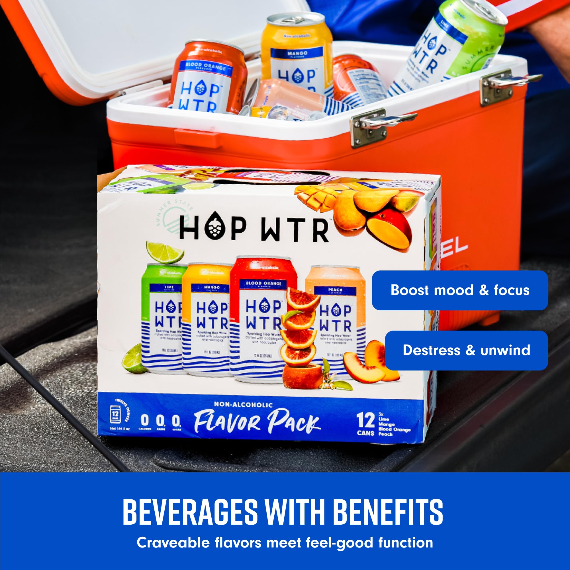 HOP WTR Sparkling Hop Water, Variety Pack 12 Pack, Sugar Free, Low Carb Non Alcoholic Drinks, NA Beer, Adaptogen Drink, No Calories, Adaptogens & Nootropics for Added Benefits, 12 oz Cans