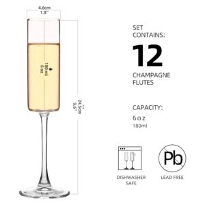 YANGNAY Cylinder Champagne Flutes, Champagne Flute Glass Set of 12, Clear Champagne glasses for Party, Home, Restaurant Use, 6 oz Capacity