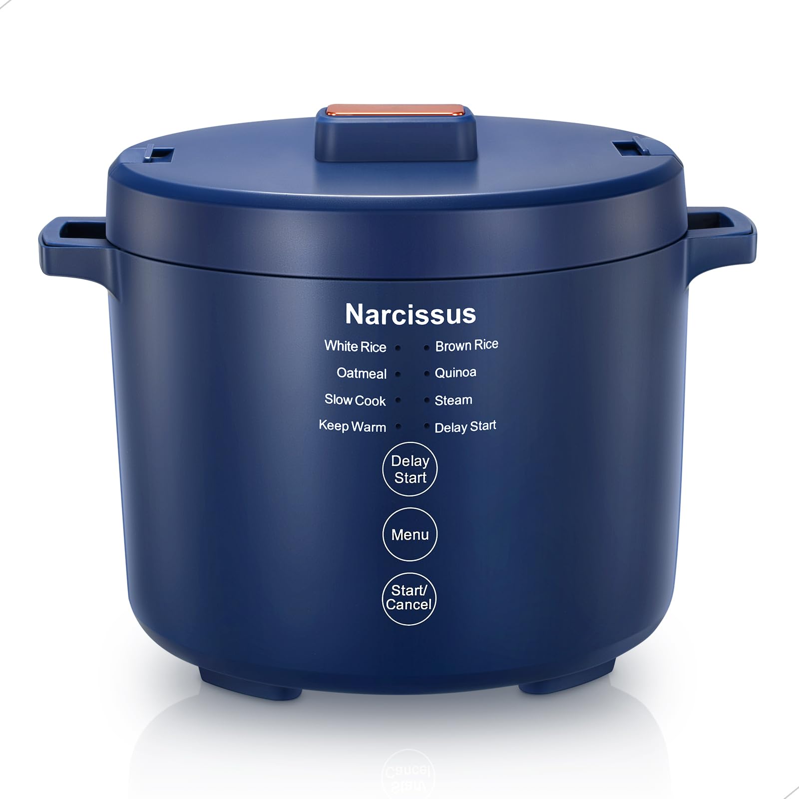 Narcissus 3.5-Cup Rice Cooker for 1-3 People, Multifunctional for Rice, Oatmeal, Quinoa - Slow Cook, Steam, Cook & Steam Together, Blue