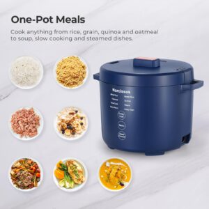 Narcissus 3.5-Cup Rice Cooker for 1-3 People, Multifunctional for Rice, Oatmeal, Quinoa - Slow Cook, Steam, Cook & Steam Together, Blue