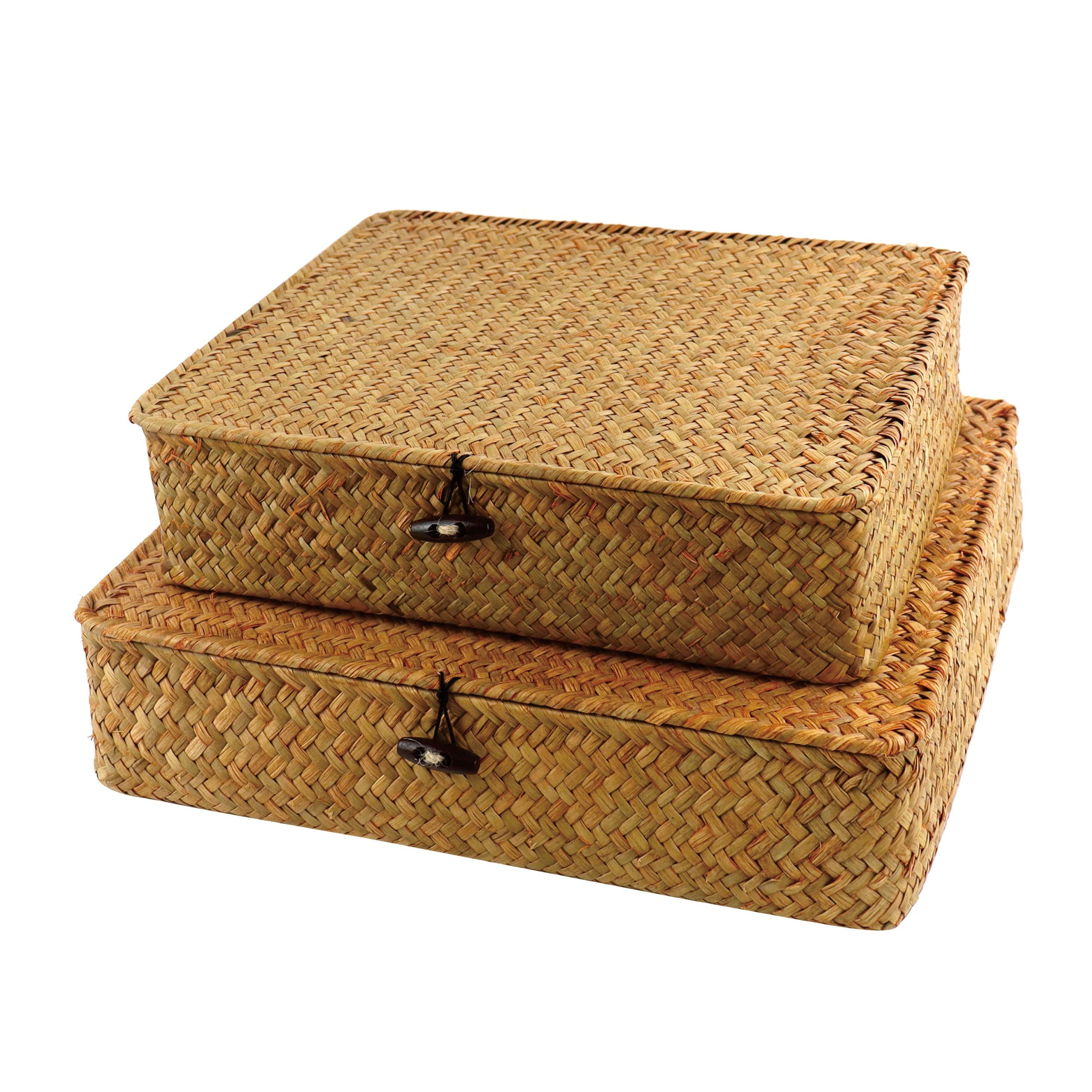 TWIGANDLAKE 2PCS Wicker Woven Storage Bins with Natural Seagrass Rattan Woven Organizer Boxes, Small and Large Wicker Basket Set with Lid for Shelf, Book