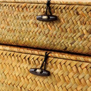 TWIGANDLAKE 2PCS Wicker Woven Storage Bins with Natural Seagrass Rattan Woven Organizer Boxes, Small and Large Wicker Basket Set with Lid for Shelf, Book