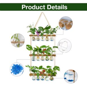 XXXFLOWER Wall Hanging Propagation Station with Wooden Stand 5 Bulb Vase 3 Tiered Planters Wall Terrarium for Home Office Plant Hanger Flower Vases Wall Decor