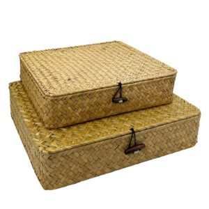 tulshuk seagrass storage bins with lid woven wicker baskets organizer flat rattan boxes for home shelves decorative,set of 2 (small+large)