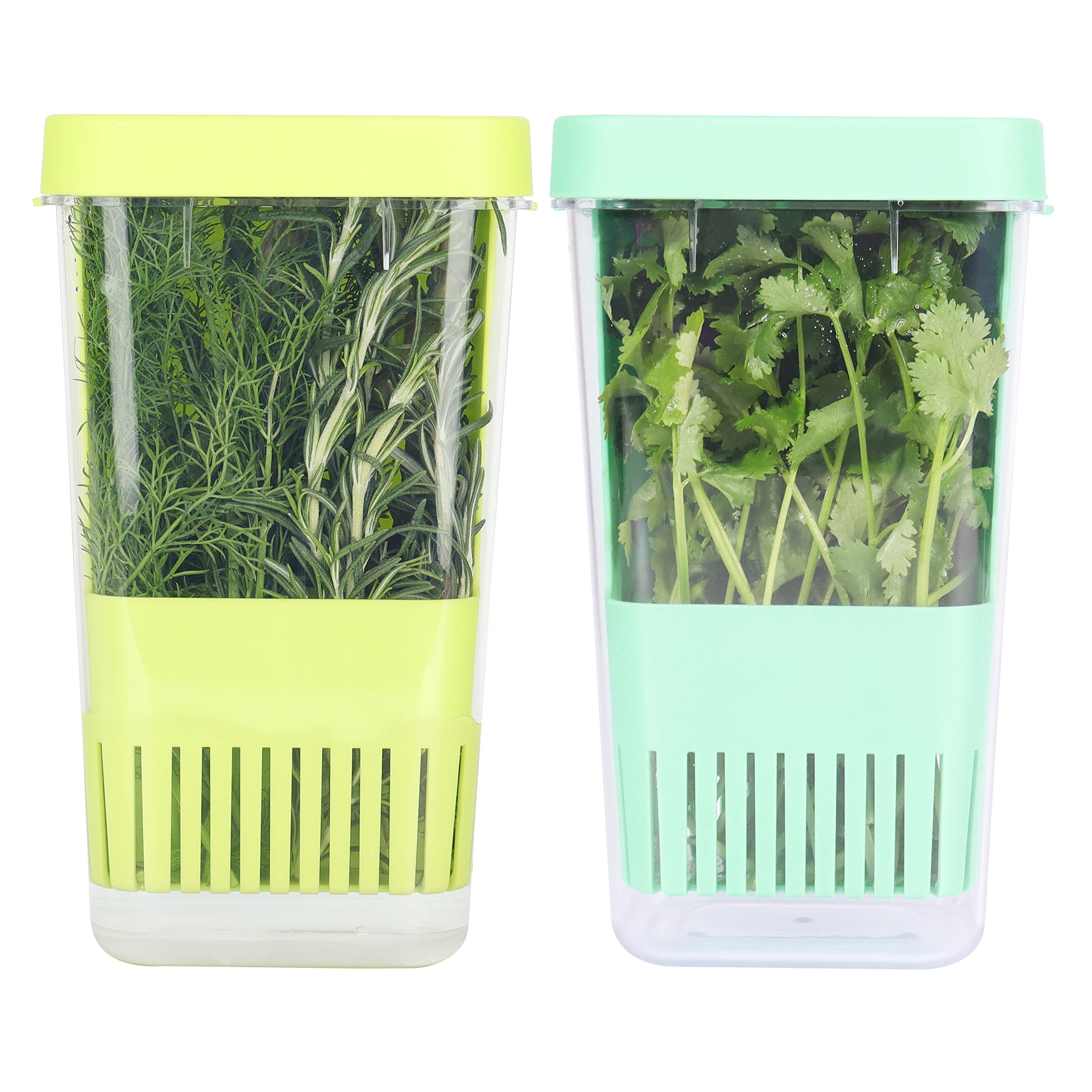 2 Pack Fresh Herb Keeper for Refrigerator, Clear BPA-Free Herb Saver, Storage Container for Cilantro, Parsley, Thyme, Mint & Asparagus, Preserver Keeps Fresh Herbs for 3 Times Longer, Green & Blue