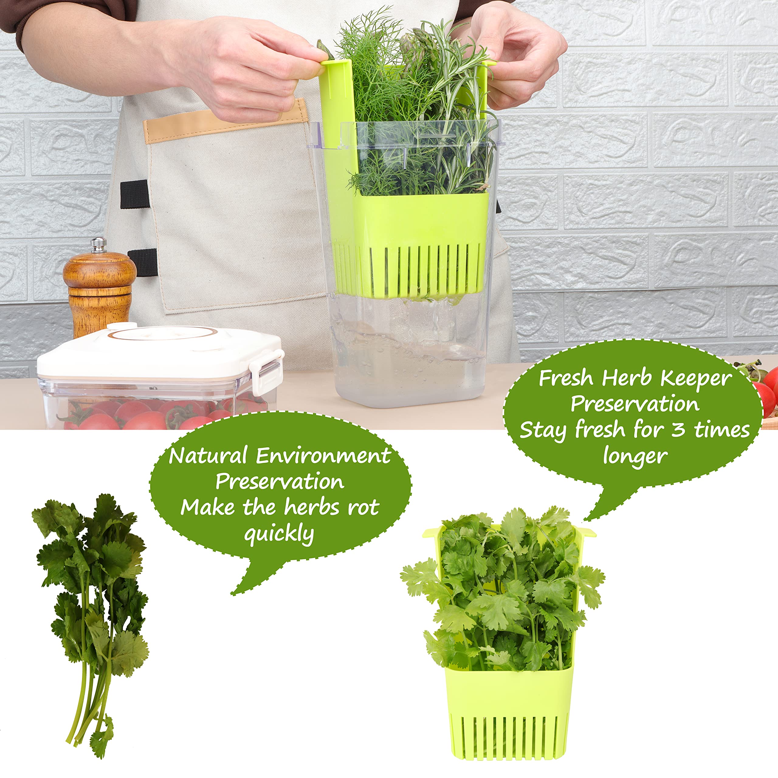 2 Pack Fresh Herb Keeper for Refrigerator, Clear BPA-Free Herb Saver, Storage Container for Cilantro, Parsley, Thyme, Mint & Asparagus, Preserver Keeps Fresh Herbs for 3 Times Longer, Green & Blue