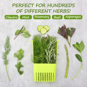 2 Pack Fresh Herb Keeper for Refrigerator, Clear BPA-Free Herb Saver, Storage Container for Cilantro, Parsley, Thyme, Mint & Asparagus, Preserver Keeps Fresh Herbs for 3 Times Longer, Green & Blue