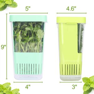 2 Pack Fresh Herb Keeper for Refrigerator, Clear BPA-Free Herb Saver, Storage Container for Cilantro, Parsley, Thyme, Mint & Asparagus, Preserver Keeps Fresh Herbs for 3 Times Longer, Green & Blue