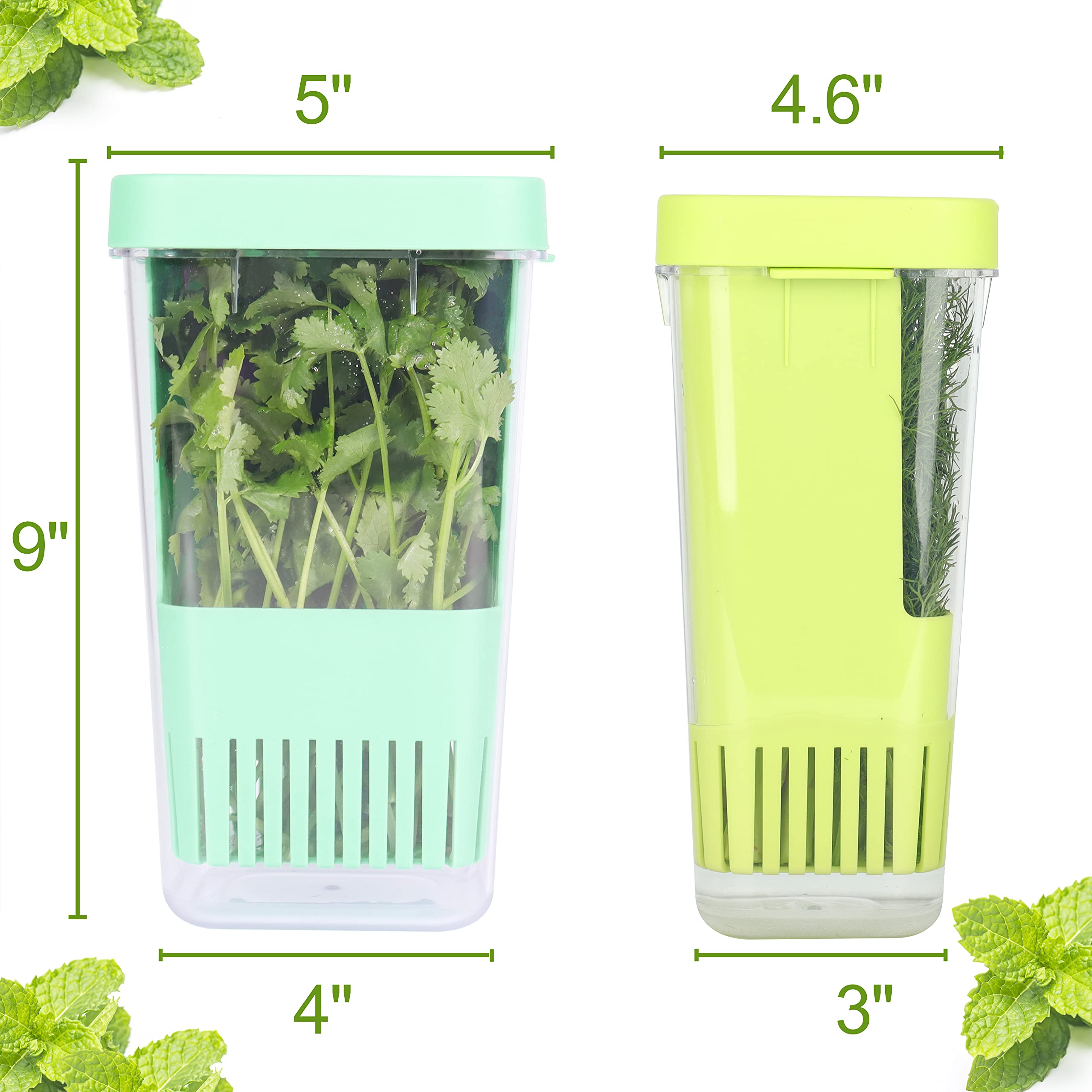 2 Pack Fresh Herb Keeper for Refrigerator, Clear BPA-Free Herb Saver, Storage Container for Cilantro, Parsley, Thyme, Mint & Asparagus, Preserver Keeps Fresh Herbs for 3 Times Longer, Green & Blue