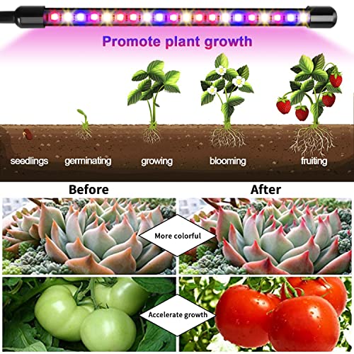 Garpsen Grow Lights for Indoor Plants, Grow Light with Red Blue Full Spectrum, 2 Heads Clip 40 LEDs Plant Light for Indoor Plants, 3 Switch Modes & Auto ON/Off, 6 12 16H Timer, 5 Dimmable Levels