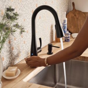 Moen Essie Matte Black One-Handle High Arc Kitchen Faucet, 87014EWBL