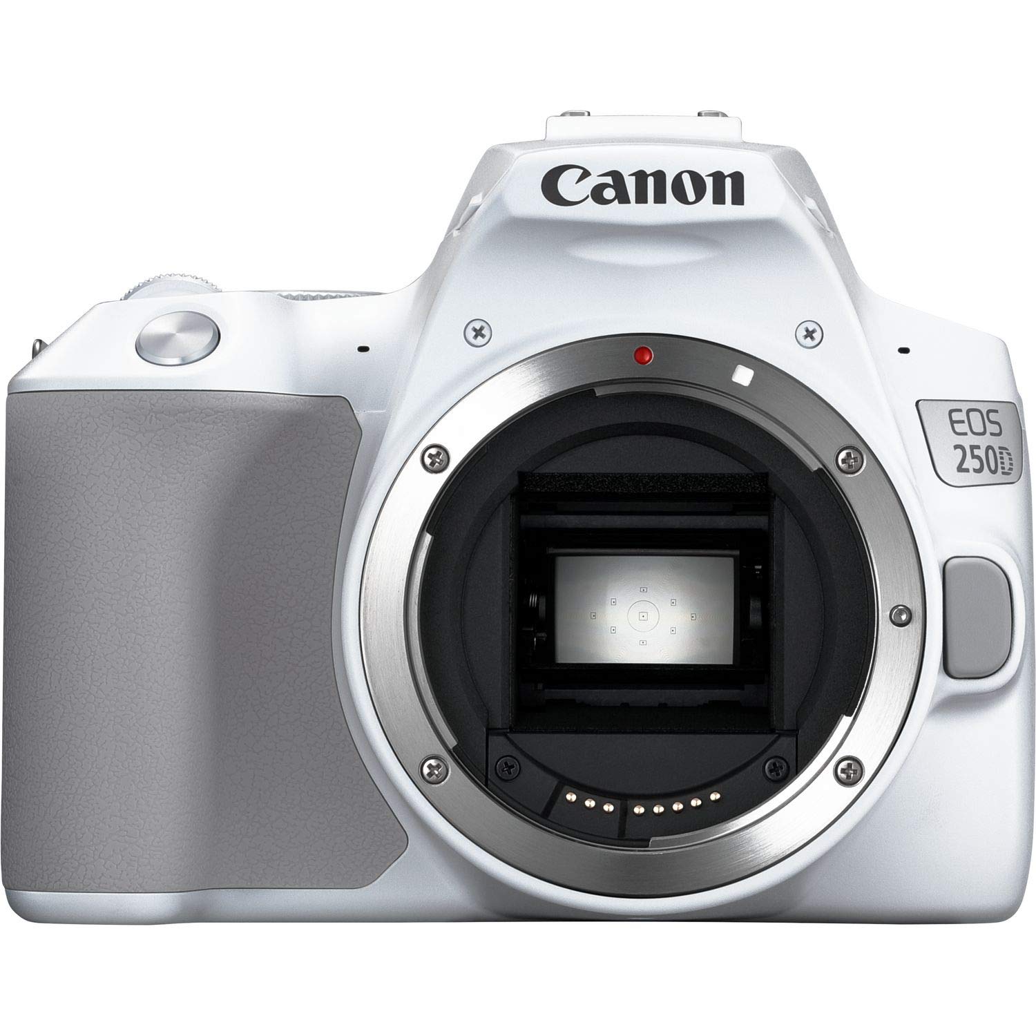 Canon EOS 250D (Rebel SL3) DSLR Camera w/ 18-55mm is STM Lens (International Version) No Warranty (White)