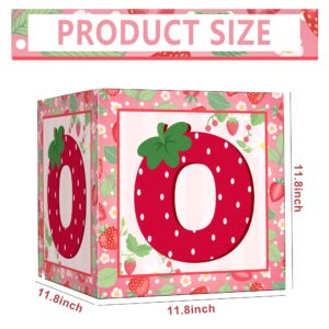 Strawberry Balloon Boxes 1st Birthday Party Supplies Strawberry Backdrop One Birthday Balloon Blocks Decorations for Baby Girl First Birthday Strawberry Party Decorations Supplies