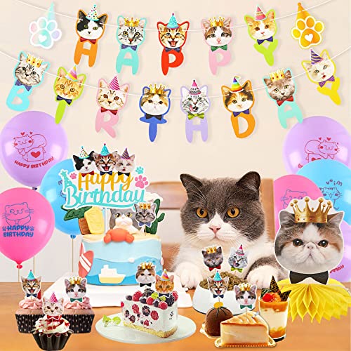 DECYOOL 39 Pcs Cat Birthday Decorations Cat Birthday Party Supplies, 2 Pcs Birthday Banner 3 Pcs Birthday Honeycombs 9pcs Birthday Balloons and 25 Pcs Cupcake Toppers for Kid cat lover