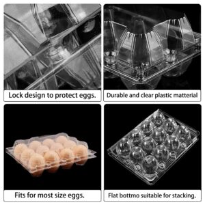 40 Pack Plastic Egg Cartons Cheap Bulk One Dozen Clear Empty Egg Cartons for Chicken Eggs, Reusable Egg Carton for Home Ranch Chicken Farm, Commercial Business Market Display, 2x6 Grids, Medium