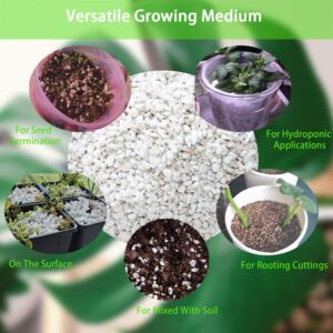 Natural Organic Perlite 5QT for Plants Potting Mix Indoor Outdoor Garden Soil Amendment for Enhanced Drainage, Seed Starter, Root Growth for Succulents, Cactus, Orchids, Money Trees, Vegetables