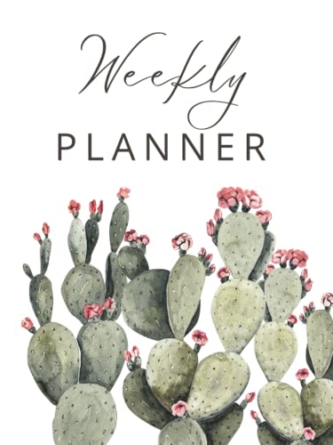 Weekly Cactus Planner 2024: Large One Year Monthly Planner From January 2024 to December 2024 (12 Months) With Federal Holidays | Monthly Weekly Agenda & Schedule Organizer |