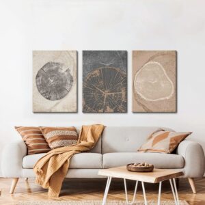 AKWISH 3Pcs Framed Tree Ring Canvas Wall Art Print Pastel Gray Wood Spirals Picture Nature Abstract Drawings Poster Modern Minimalist Wall Decor for Living Room Bedroom Home Office 16"x24"x3