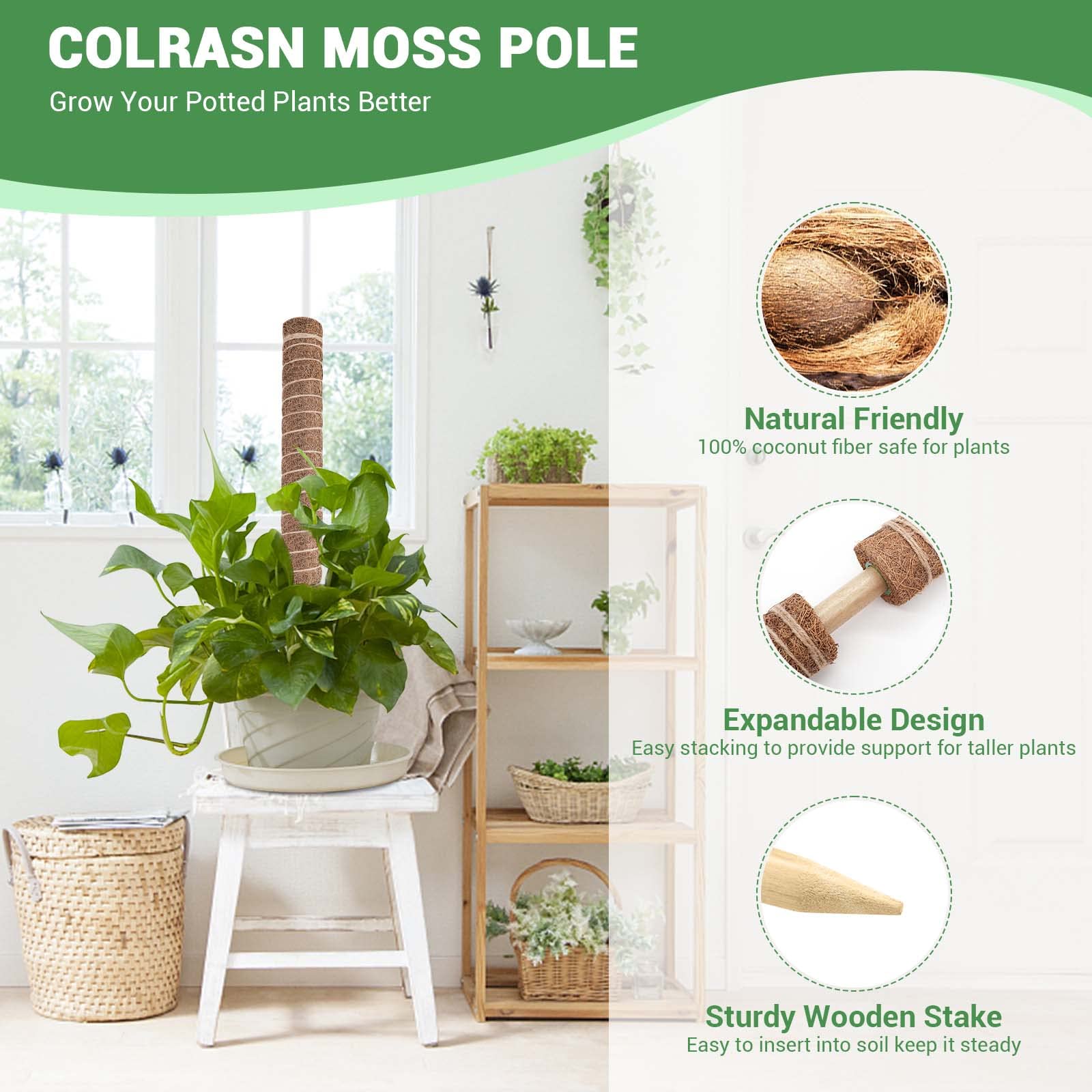 Moss Pole for Plants Monstera, 115 inch Moss Poles for Climbing Plants, 4 Pcs 20.5" and 2 Pcs 16.5" Coco Coir Pole for Indoor Potted Plants Grow Upwards, Moss Stick Totem Pole Plant Support