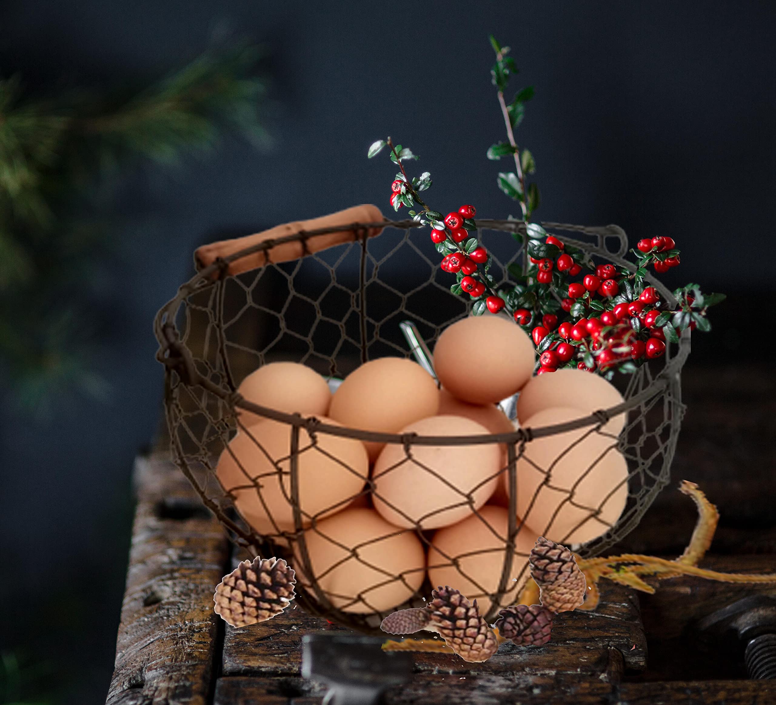 TAIANLE Farmhouse Metal Wire Egg Basket for Collecting Fresh Eggs,Round Handle Egg Basket Vintage Style,Durable Collect & Gathering Basket for Fresh Egg,Countertop Egg Basket Holder,Storage Fruit Bin