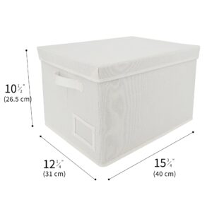 GRANNY SAYS Bundle of 1-Pack Extra Large Storage Boxes & 3-Pack Rectangle Storage Bins with Lids