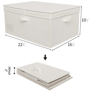 GRANNY SAYS Bundle of 1-Pack Extra Large Storage Boxes & 3-Pack Rectangle Storage Bins with Lids