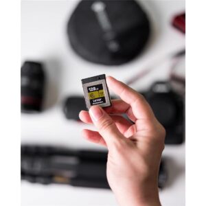 Lexar 256GB Professional CFexpress Type B Memory Card GOLD Series, Up To 1750MB/s Read, Raw 8K Video Recording, Supports PCIe 3.0 and NVMe (LCXEXPR256G-RNENG)