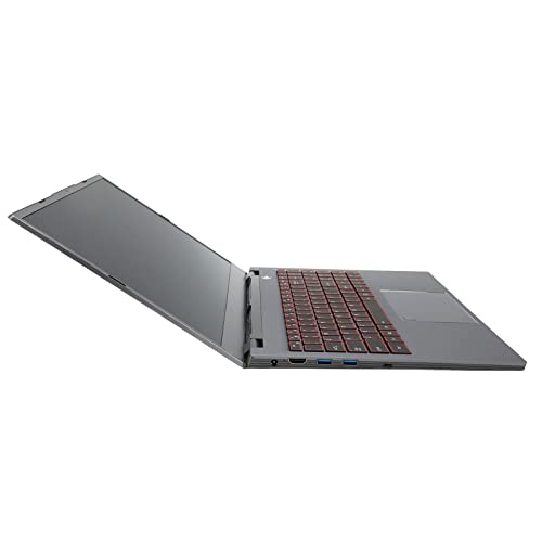 Business Laptop, Six Core CPU Office Laptop Fingerprint Reader 15.6 Inch for Travel (8+256G US Plug)