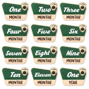 Huray Rayho 12 Pcs National Park Baby Monthly Photo Props Cards Rustic Wooden Baby Months Signs Adventure Theme Newborn Photography Props for Baby Shower Mountain Hiking Lovers Pregnancy Gift