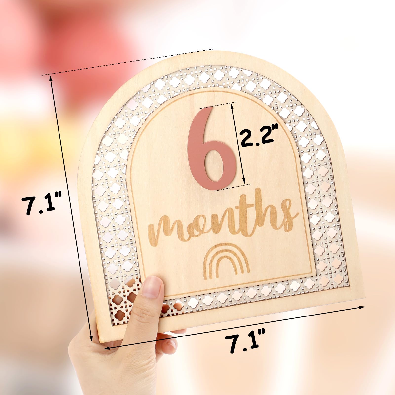 Huray Rayho Boho Rattan Monthly Photo Props Cards Wooden Bohemian Blocks Rainbow Interchangeable Photo Props with 11 Swappable Numbers Set of 12 for Baby Growth Record Baby Shower Plaques