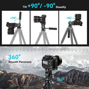 SmallRig Video Head for Vertical/Horizontal Shooting, Tripod Pan Tilt Fluid Head with Telescopic Handle and Switchable QR Plate for Arca, Max Load 5kg / 11Ibs for Camcorder, Mirrorless, DSLR - 4104