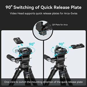 SmallRig Video Head for Vertical/Horizontal Shooting, Tripod Pan Tilt Fluid Head with Telescopic Handle and Switchable QR Plate for Arca, Max Load 5kg / 11Ibs for Camcorder, Mirrorless, DSLR - 4104