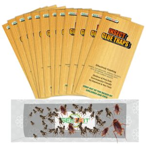 30 pcs cricket traps indoor for trapping insects, mice, spiders, bugs, crickets, scorpions, roaches, super sticky & non-toxic glue board pre-baited with fruity scent attractant - 9.5 x 3.15 in