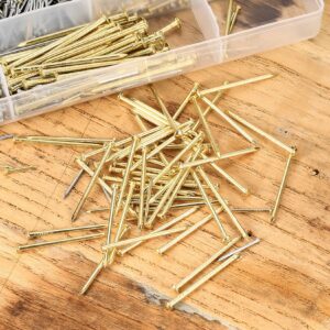 YOUYIDUN-820 Pcs Nail Assortment Kit, Small Nails for Hanging Pictures, Finishing Hardware Nails, 8 Sizes Gold/Silver Assorted Wall Nails for Pictures Hanging, Woodworking, Drywall, Concrete Pin Nails