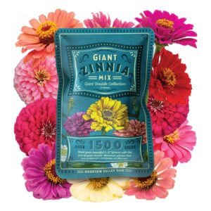 zinnia seeds for planting outdoors - ~1,500 california giant mix zinnia seeds - beautiful 4' tall wildflower blossoms - zinnia elegans pollinator seed mix - bright, cheerful annual flower seed packets