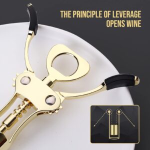 Drincarier Wine Opener, Zinc Alloy Premium Wing Corkscrew Wine Bottle Opener with Multifunctional Bottles Opener, Upgrade (Gold Opener With Foil Cutter)