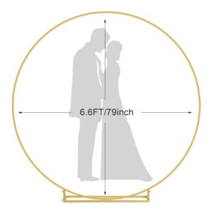 6.6FT Round Backdrop Stand, Wedding Metal Circle Balloon Arch Kit Frame Flower Ring Stand for Wedding Birthday Party Ceremony Anniversary Graduation Backdrop Decoration, Gold
