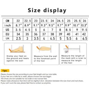 Rosefinch Adjustable Women Latin Dance Shoes 7cm Modern Pole Dance Shoes Salsa Tango High Heel Adjustable Latin Shoes for Girls Ladies