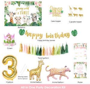 YSHMFEUX Young Wild & Three Birthday Decorations Party Supplies, Wild Three Birthday Decorations for Girl, Jungle Safari Animal 3rd Birthday Decorations Girl, Wild And Three Backdrop Balloons Arch