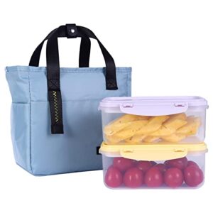 doobaann food storage containers with ice box,fruit containers set with lunch bag,perfect for summer,bpa free. (yellow/purple)