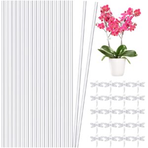 aboofx 20 pieces 16 inch plant stakes acrylic plant stakes garden stakes orchid stakes, clear plant sticks plant support stakes with 20 pcs clear dragonfly orchid clips for indoor and outdoor plants