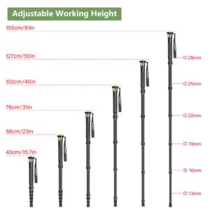 Manbily Camera Monopod Aluminum Portable Compact Lightweight Travel Monopod with Carrying Bag Walking Stick Handle,for DSLR Canon Nikon Sony Video Camcorder (Aluminum, Green&Black)